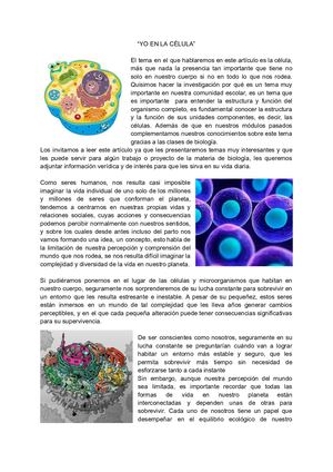 Yo En La Celula