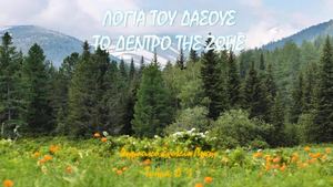 ΛΟΓΙΑ ΤΟΥ ΔΑΣΟΥΣ ΚΑΙ ΤΟ ΔΕΝΤΡΟ ΤΗΣ ΖΩΗΣ ΦΡΟΝΤΙΔΑ ΦΩΤΙΑ ΣΤΟ ΔΑΣΟΣ