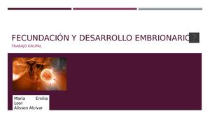 Fecundación Y Desarrollo Embrionario