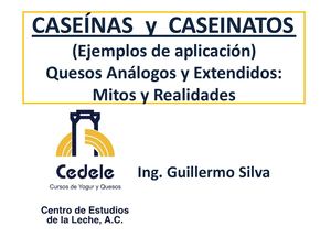 Caseinas Y Caseinatos Ejemplos De Aplicacion Quesos Analogos Y Extendidos Mitos Y Realidades
