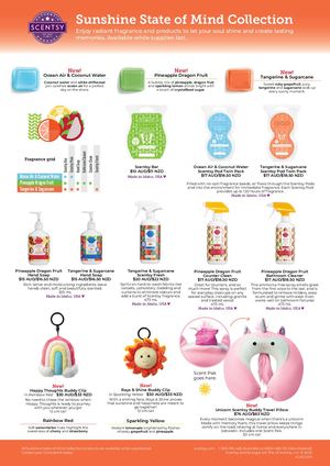 Sunshine State of Mind Collection