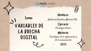 Variables De La Brecha Digital