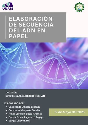 Biotecnología Estructura De ADN en papel