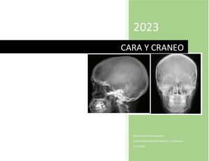 Estudios Y Proyecciones Convencional