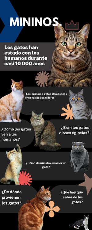 Revista Michis
