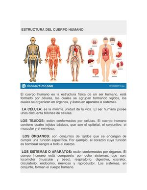 Guia De Aprendizaje Sistema Digestivo Humano