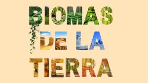 Biomas Terrestres
