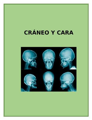 Cráneo y cara, imagenologia.