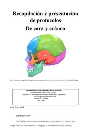 Recopilación Y Presentación De Protocolos