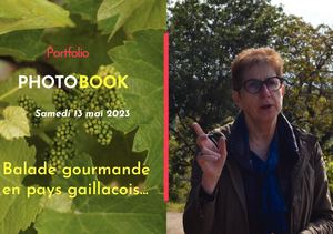 Portfolio Balade Gourmande Compressé