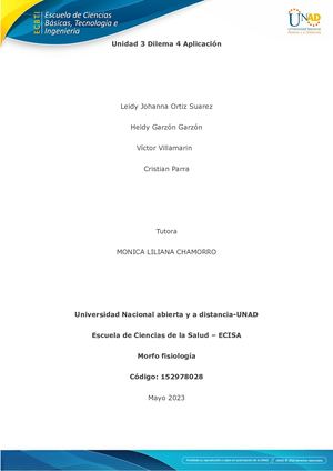 Tarea 4 Trabajo Colaborativo