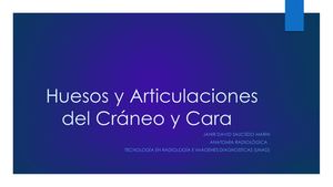 Huesos Y Articulaciones Del Cráneo Y Cara
