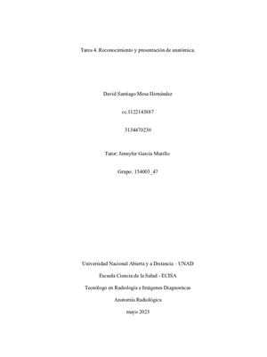 Anatomia Radiologica De Cara Y Craneo
