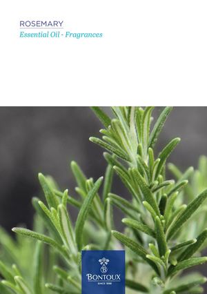FOCUS - ROSEMARY - Fragrance - Bontoux
