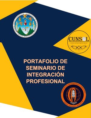 Portafolio De Seminario De Integración Profesional
