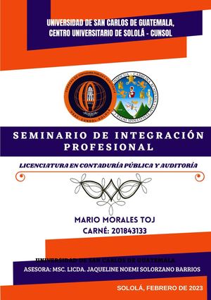 Portafolio Seminario de Integración Profesional