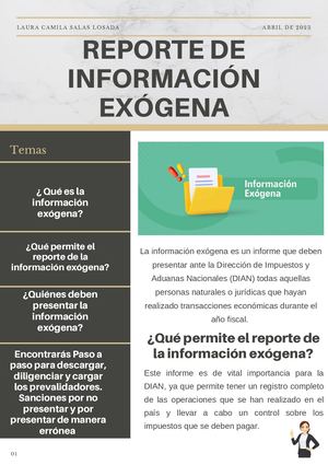 La Información Exógena Es Un Informe Que Deben Presentar Ante La Dirección De Impuestos Y Aduanas Nacionales (Dian) Todas Aquellas Personas Naturales O Jurídicas Que Hayan Realizado Transacciones Económicas Durante