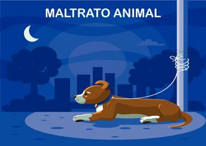 Infografia De Maltrato Animal