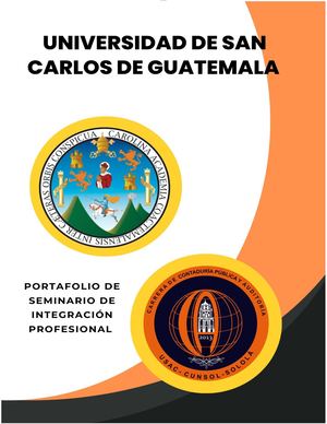 Portafolio De Seminario De Integración Profesional 2023 Abril