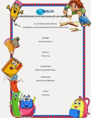 Necesidades Educativas Especiales