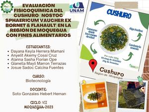 Mapa Conceptual Evaluación Fisicoquímica Del Cushuro ( Nostoc Sphaericum Vaucher Ex Bornet & Flahault) En La Región De Moquegua Con Fines Alimentarios