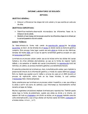Informe Laboratorio De Biología Mitosis
