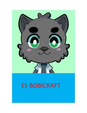 Es Bobicraft