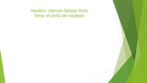Exposicion Del Anillo De Waldeyer