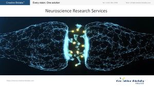 Neuroscience Research Services