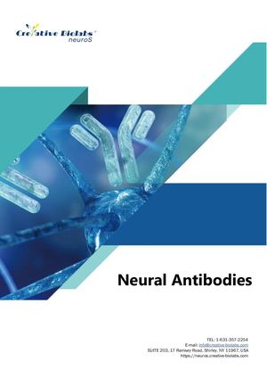 Neuros Antibody Product Panel