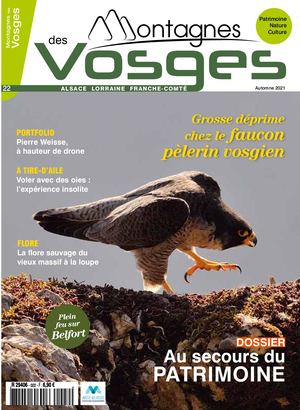 Montagnes Des Vosges 22