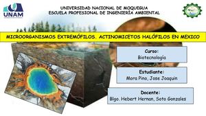 Trabajo Individual Mapa Conceptual Mora Pino Jose Joaquin