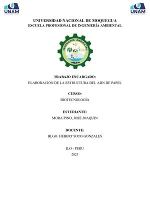 Informe Elaboracion De La Estructura Adn En Papel