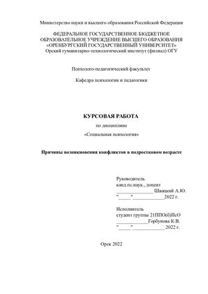 Курсовая Горбунова подростки