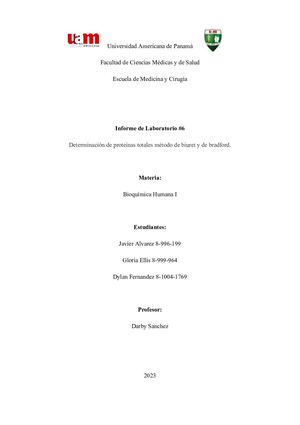 Informe De Bioquimica 6