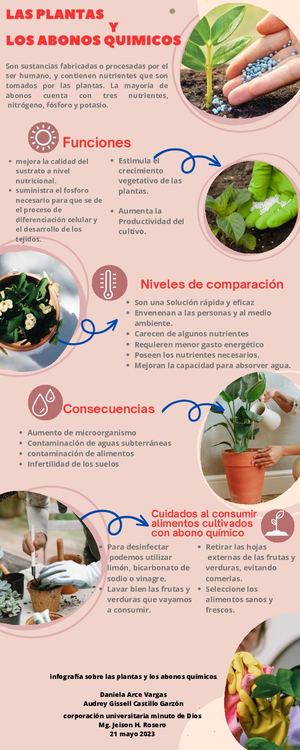 Las Plantas Y Los Abonos Quimicos