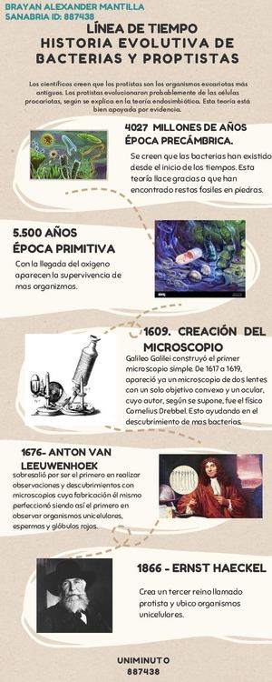 Línea De Tiempo Historia