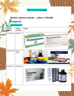 Taller De Farmacología