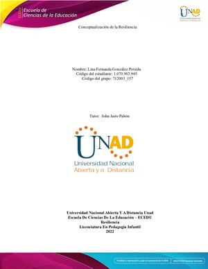 Momento 1 Conceptualización De La Resiliencia