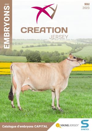 Catalogue Jersey 05 2023