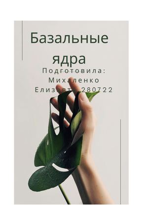 Базальные ядра