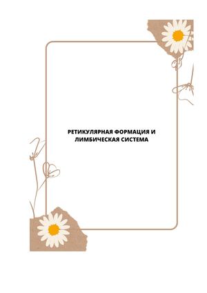 Ретикулярная формация и лимбическая система