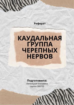 Каудальная группа черепных нервов