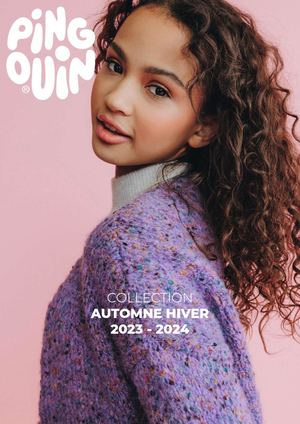 Nuancier Pingouin AH23