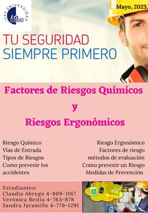 Factores De Riesgos Químicos Y Riesgos Ergonómicos (1)