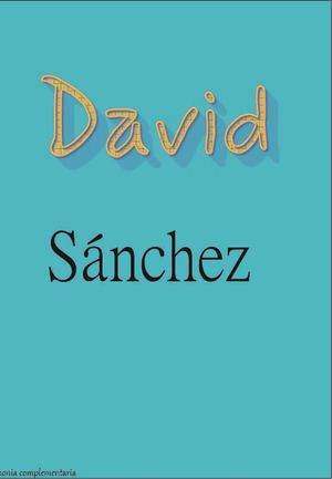 Portafolio David Sánchez Calle