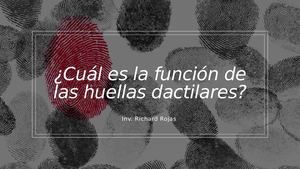Huellas Dactilares