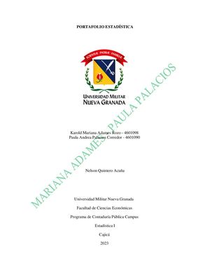 Portafolio Adames Y Palacios