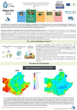 Bulletin Olive 4 Paca