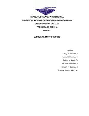 Capitulo Ii Marco Teorico